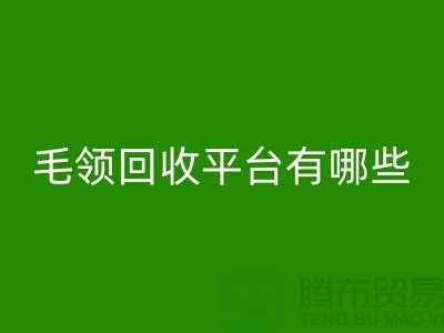 毛领回收平台有哪些公司或者品牌