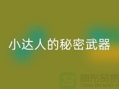 环保小达人的秘密武器：废布边角料回收公司的引领力